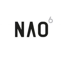 NAO Next Gen Humanoid Robotic Platform (Orange)