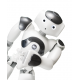 NAO 6 Humanoidas robotas