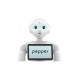 Pepper Humanoidas robotas